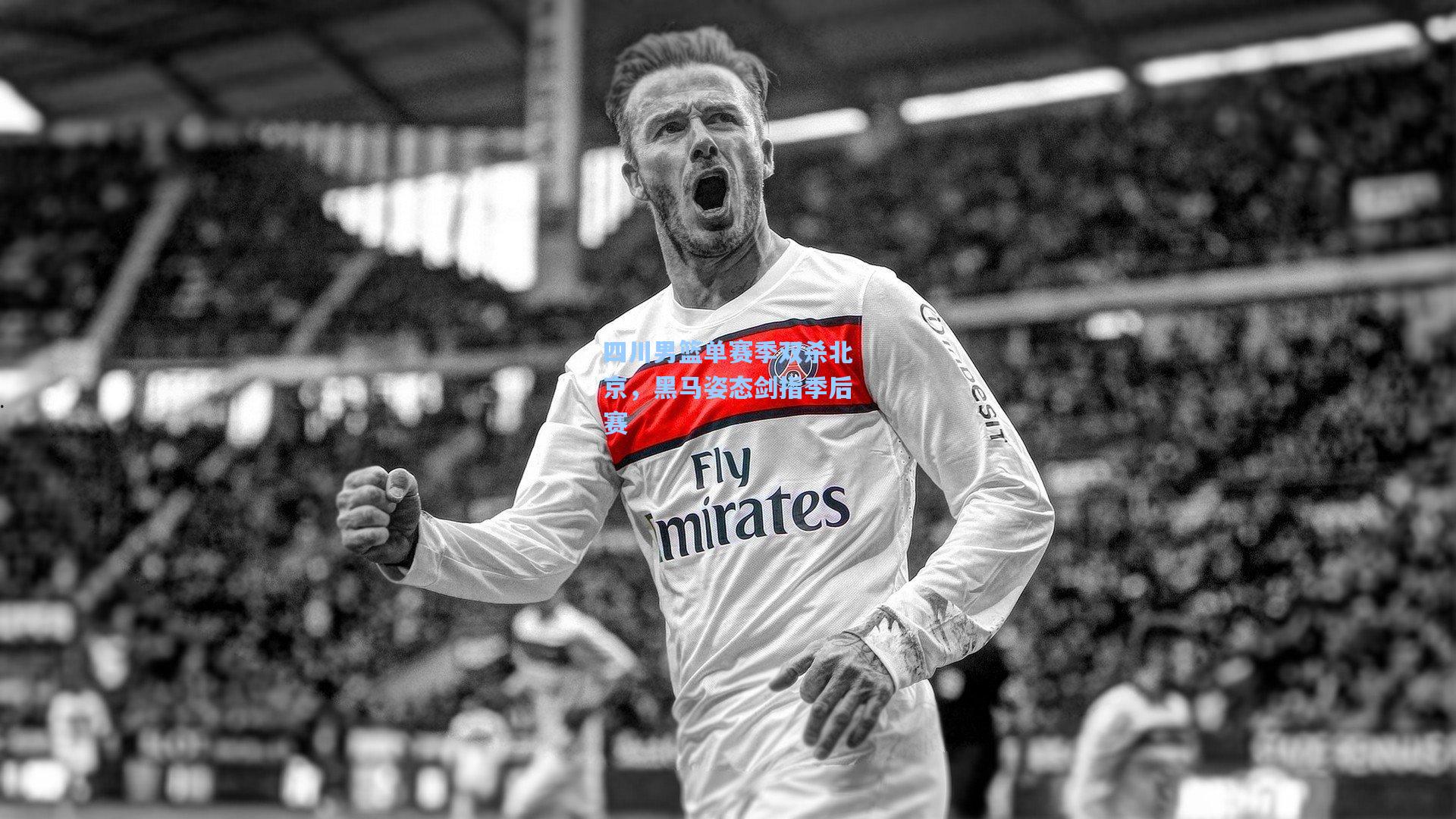 四川男篮单赛季双杀北京，黑马姿态剑指季后赛