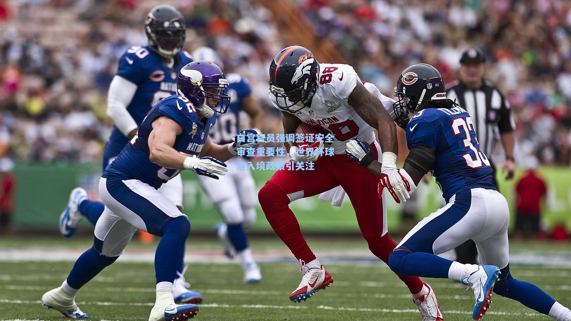 白宫官员强调签证安全审查重要性，世界杯球迷入境政策引关注